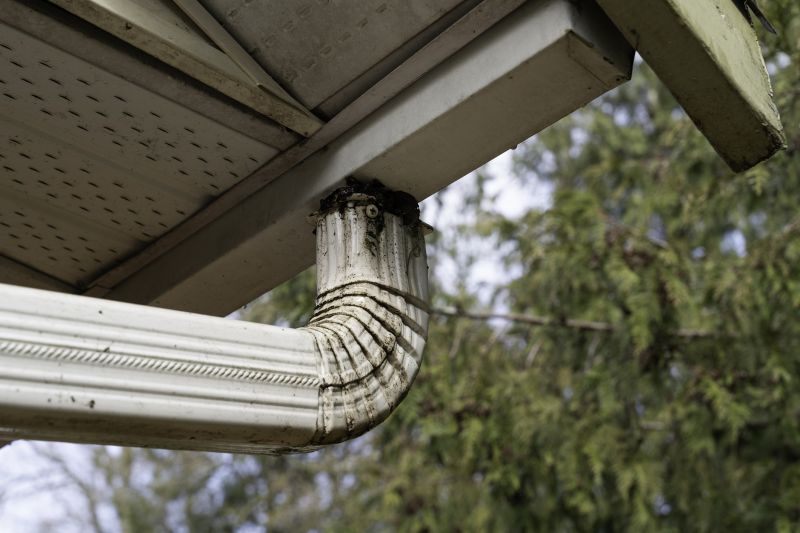 Gutter Downspout Damage